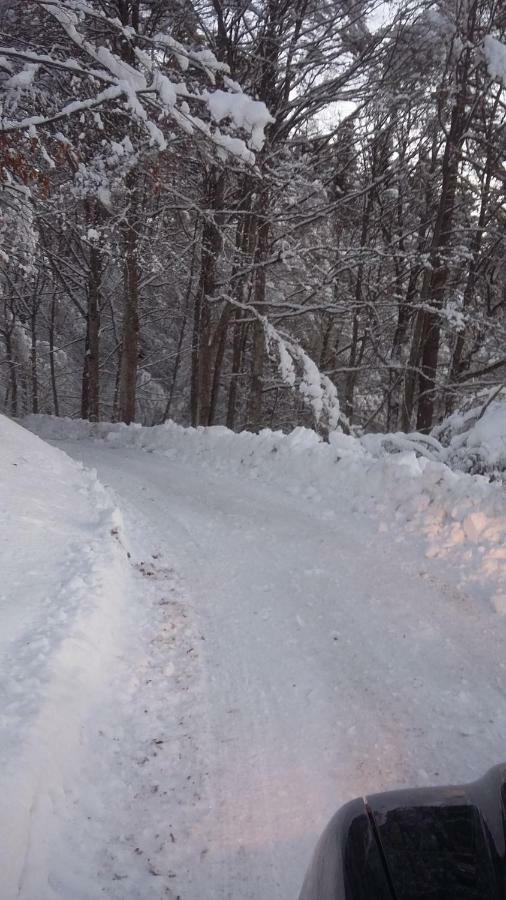 Chalet Lagorai Roncegno Bagian luar foto